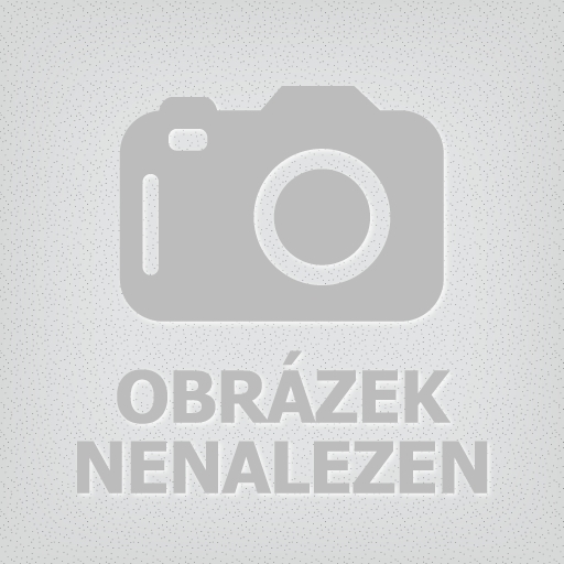 GENT XL